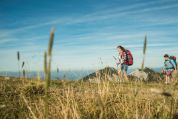 Pärchen mit Rucksäcken auf Wanderschaft Pärchen mit Rucksäcken auf Wanderschaft